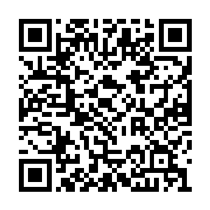 掏出金针和思考的过程也完全不像上次那么紧张二维码生成