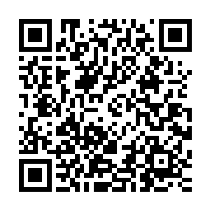 排名第二的孔雀已经可以完全从潜在威胁的名单中剔除出去了二维码生成