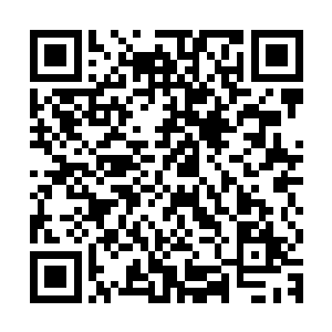 排在最里面的都是三级战士和这次狩猎中表现最佳的二级战士们二维码生成