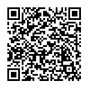 排队排到却被说可以去领任务牌知道任务牌是中层以上才资格拿到二维码生成