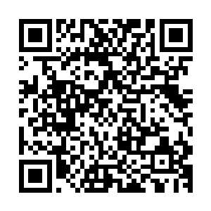 探听消息的人将今日衙门审理情形一五一十回禀给方瀚海夫妇二维码生成