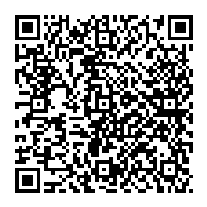 探查完流墨墨就把黑麟镯里储存的那一大堆乱七八糟的有一些连自己都没注意没查看过的功法玉简全取了出来二维码生成