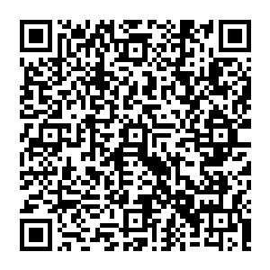 接下來的事也不用想　留在此地的金丹大能　必死无疑　除非风清扬能够放他们一条生路　否则绝对沒有一线生机二维码生成
