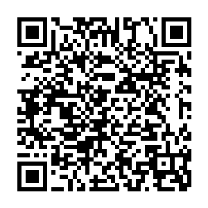 接下来我们就去拜访一下那些不花钱就住在我们的古堡里的非法住户们吧~二维码生成