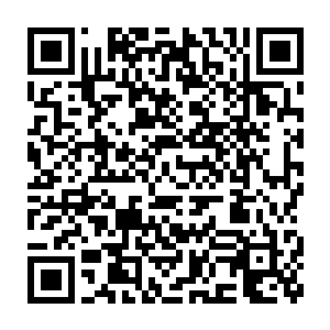 接下来政府首脑间长达七天的圆桌会议才是这次会议的主菜跟精华所在二维码生成