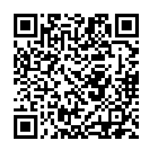 接下来系统将会让你在主神空间中一次又一次的死去二维码生成