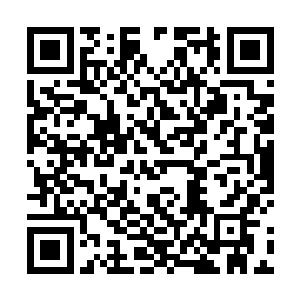接受传承时精神意念就被一次次的震荡而变得更加精纯二维码生成