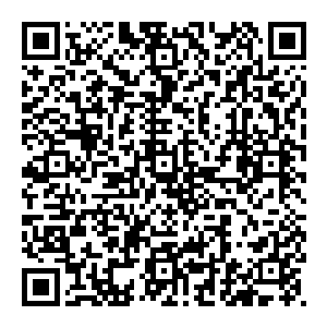 接着 掌风未收 他脚下一瞪顿时弹跳而起 像是一颗炮弹 大手再次一闪 对准了那尖细声音的男子就是一大巴掌二维码生成