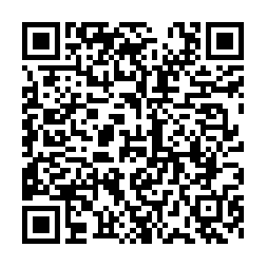 接着又用小锯把三根小拇指粗细的文竹同样锯成高低不同的三棵小文竹二维码生成