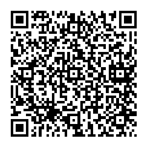 接着无法控制道体而暴毙……而我跟随皇兄多年……他当年不过仗着自己是顺位继承者才登上皇位二维码生成