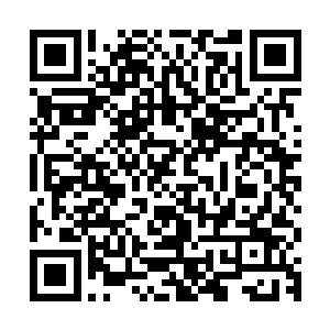 接着赤电独角寒冰兽又去吸食悬挂在冰壁上的梨形球里面的冰蚁二维码生成
