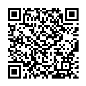 接过谢一鸣递过来的手机翻看上面的点击数据和留言二维码生成