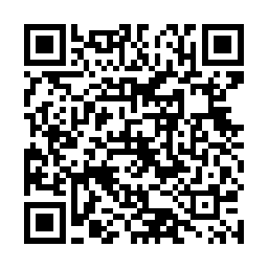 提出要去塔克玛拉荒漠中的地下宫殿必须有李盈娇带路二维码生成