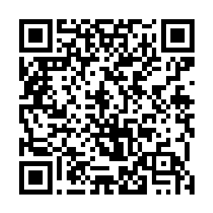 提在手里――陈小练原本就是属于比较矮小消瘦类的提醒二维码生成