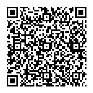 提着刚才砍椰子的刀过去砍了几两三个叶子往沙地上这么一铺贝海要躺了上去准备美美的睡自己的午觉二维码生成