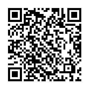 提醒归塘界主不要忘记了老转轮王代理归墟之主的身份二维码生成