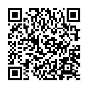 提针……总之一手回天九针的特殊手法在他的手中不断的出现着二维码生成