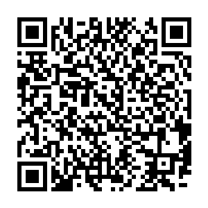 握着泛白的匕首正是刚才何二他们用来抵在林冰月脖颈上的那一把二维码生成