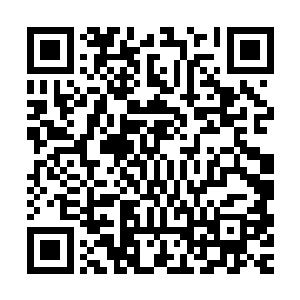 搜刮了她全家的盗贼现在正在大模大样地翻阅她家族的珍藏的话二维码生成