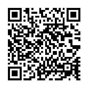 搞不好还真就是伏羲画八卦用的那支笔呢……那你就无敌了二维码生成