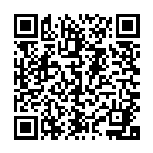 搞不好这个时候的弗格森吹风机已经在更衣室里全力开动了……二维码生成