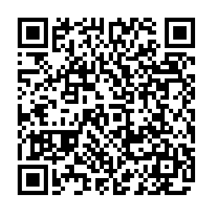 摆设简单甚至可以说简陋的闺房里杜娇娜正将一丛盛开的花查到陶土瓶子里二维码生成