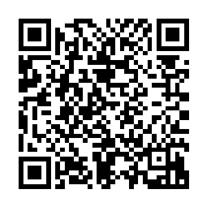 摇篮曲最根本的作用是能在蛋族新生阶段温和地拓宽精神中枢二维码生成