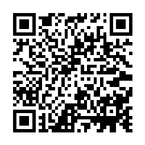 摩格城外的守军们已经用他们的生命践行了自己的职责二维码生成