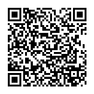 摩诃迦叶虽然说过三大家族跟他们约定了是在这无乱血漠之中谈判二维码生成