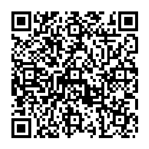 撇开他们倒退着行走返回这一层的情况……稻草人和铁皮人应该是去了四楼没回来二维码生成