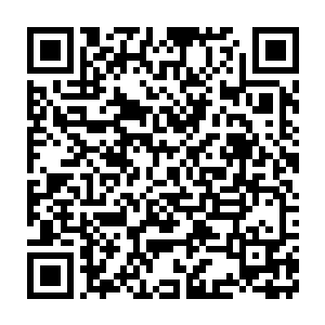 撒花庆贺宝儿成为本文的第二位盟主~~激动的心情已经不能言表了二维码生成