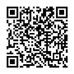 支付的违约金都够他们再开一家中等规模的娱乐公司的了二维码生成