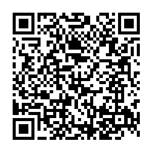 支持新帝的公主殿下以及朝中大臣表示愿意为此事付出足够的代价二维码生成