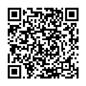 收到我传音的修士们立刻将我的意思继续传了出去二维码生成