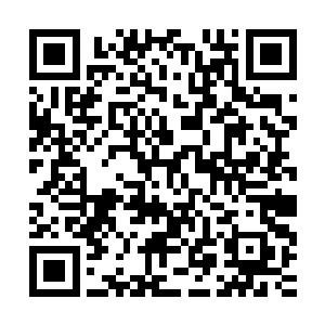 改日 等我大仇得报 我会亲自登门拜访的 天机的小家伙们 二维码生成