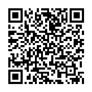 攻击性的招数一出会被认为是对药神公会的攻击二维码生成