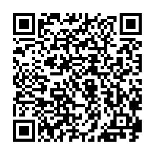 攻势行动主要依赖的只能是西非国家经济共同体的援军和新组建的联合反恐部队二维码生成