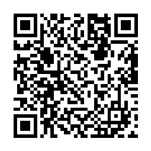 放到各个不重要的位置上做一些定岗守卫和巡逻的活二维码生成