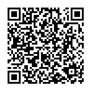 放在一张圆盘似的脸上……总觉得就跟白面包子捏了几个小细褶一样二维码生成