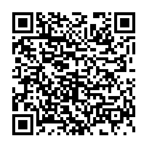 放在天元大陆上随随便便就占地数千甚至数万公里的森林相比起來二维码生成