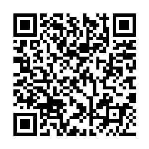 放在撼妖城这种地方也可以称得上难得的修炼人才二维码生成