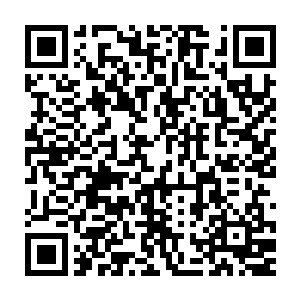 政务院将穆根作为新一代政务院偶像培养的计划其实是相当成功的二维码生成