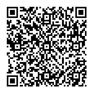 政府早就在90年代就开始了对网络的监视和操纵……大梦网络部门的手法肯定是从这些屡经历练的部门手中学习来的二维码生成