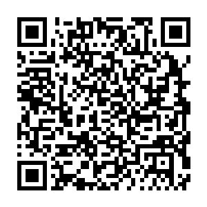 政fu办公室主任宋艺林和常务副市长方明海到运河县参观过经贸洽谈会二维码生成