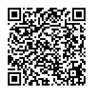 政fu办公室主任宋艺林陪着主管招商市长范中伟和招商局长贾凡涛迎向那对男二维码生成