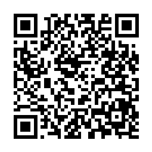 故而也不用再借助辟塔所生产的pta7型量产机器人的身体了二维码生成