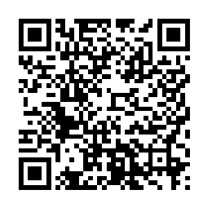 故而宫主不能完全控制他……宫主妾身句句属实……二维码生成