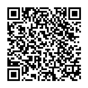 故而斗鱼的主播们都在利用这个千载难逢的机会为自己提升人气和鱼丸二维码生成