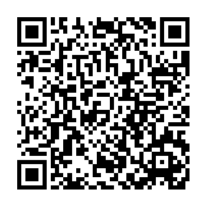 敌人确实清楚什么对他们最具威胁……对贵脉天罗青种的失落我也很遗憾二维码生成