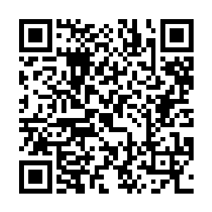 敌我双方的不死者在用实战交流自己对死亡艺术的理解二维码生成